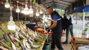 Balık Hal Fiyatları