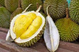 Durian Meyvesi Fiyatları