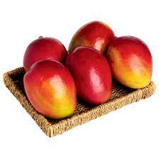 Mango Meyvesi Fiyatları